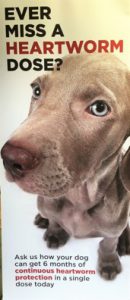 Heartworm protetion