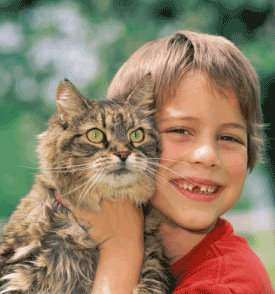 Caring For Pets Teaches Children Responsibility Caring For Pets Teaches Children Responsibility
